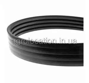 АГРОЛОКАЦІЯ Ремінь Привідний 4RHB176, 71388216, 1425378, 073202.1, 1141510, Carlisle (унікальний ID: 4RHB176) АГРОЛОКАЦІЯ Ремінь Привідний 4RHB176, 71388216, 1425378, 073202.1, 1141510, Carlisle (унікальний ID: 4RHB176)