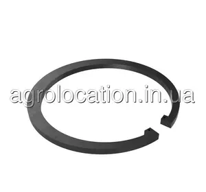АГРОЛОКАЦІЯ Пружинне кільце N208003 до John Deere (унікальний ID: N208003) АГРОЛОКАЦІЯ Пружинне кільце N208003 до John Deere (унікальний ID: N208003)