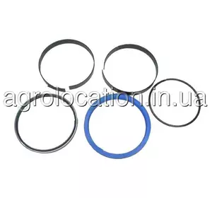 АГРОЛОКАЦІЯ Ремкомплект гiдроцилiндра RE36976 до техніки John Deere (унікальний ID: RE36976) АГРОЛОКАЦІЯ Ремкомплект гiдроцилiндра RE36976 до техніки John Deere (унікальний ID: RE36976)