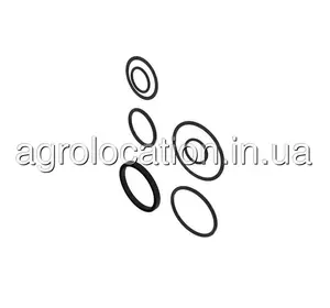 АГРОЛОКАЦІЯ Ремкомплект гідроциліндра AH161751 до John Deere 9470, 9560, 9570, 9880, S650, S660, S670, S760, S770 (унікальний ID: AH161751) АГРОЛОКАЦІЯ Ремкомплект гідроциліндра AH161751 до John Deere 9470, 9560, 9570, 9880, S650, S660, S670, S760, S770 (унікальний ID: AH161751)