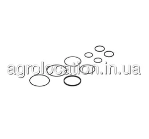АГРОЛОКАЦІЯ Комплект ущільнень AN205488 на техніку John Deere (унікальний ID: AN205488) АГРОЛОКАЦІЯ Комплект ущільнень AN205488 на техніку John Deere (унікальний ID: AN205488)