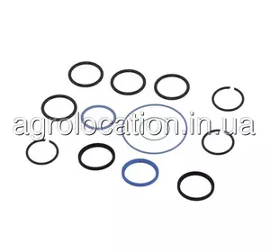 АГРОЛОКАЦІЯ Ремкомплект гiдроцилiндра AH176566 до техніки John Deere (унікальний ID: AH176566) АГРОЛОКАЦІЯ Ремкомплект гiдроцилiндра AH176566 до техніки John Deere (унікальний ID: AH176566)