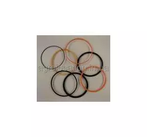 АГРОЛОКАЦІЯ Ремонтний комплект RE222175, RE172021 рульового насоса на техніку John Deere (унікальний ID: RE222175) АГРОЛОКАЦІЯ Ремонтний комплект RE222175, RE172021 рульового насоса на техніку John Deere (унікальний ID: RE222175)