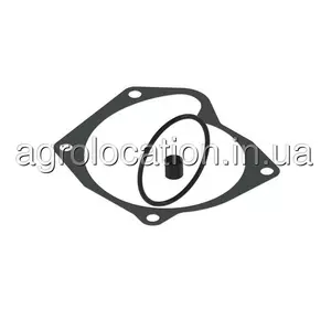 АГРОЛОКАЦІЯ Ремкомплект насоса RE503260, RE68230, RE68315, RE58356, RE52105 до John Deere (унікальний ID: RE503260) АГРОЛОКАЦІЯ Ремкомплект насоса RE503260, RE68230, RE68315, RE58356, RE52105 до John Deere (унікальний ID: RE503260)