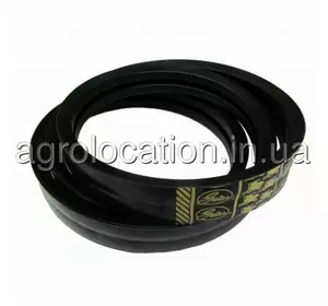 АГРОЛОКАЦІЯ Пас 2-х Рядний D41978100, 0723264, 41979300, 2HB-2970, 1347160C1 Massey Ferguson (унікальний ID: D41978100) АГРОЛОКАЦІЯ Пас 2-х Рядний D41978100, 0723264, 41979300, 2HB-2970, 1347160C1 Massey Ferguson (унікальний ID: D41978100)