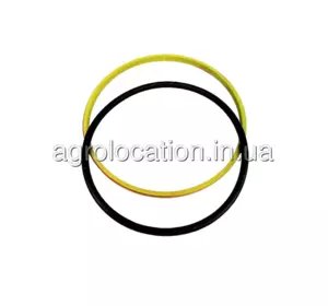 АГРОЛОКАЦІЯ Сальник RE172099 на техніку John Deere (унікальний ID: RE172099) АГРОЛОКАЦІЯ Сальник RE172099 на техніку John Deere (унікальний ID: RE172099)