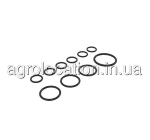 АГРОЛОКАЦІЯ Комплект ущільнень AN404310 до John Deere 400R, 408R, 600R, R4030, R4060 (унікальний ID: AN404310) АГРОЛОКАЦІЯ Комплект ущільнень AN404310 до John Deere 400R, 408R, 600R, R4030, R4060 (унікальний ID: AN404310)