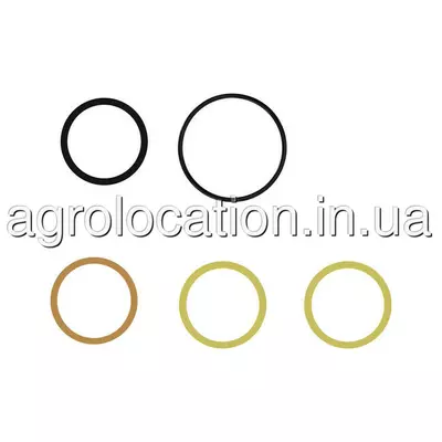 АГРОЛОКАЦІЯ Ремкомплект кілець AH225672 до John Deere 625R, 630R, 615C, 625, 635R, 730FD (унікальний ID: AH225672)
