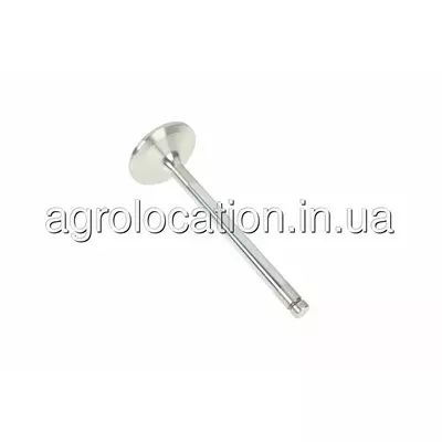 АГРОЛОКАЦІЯ Клапан впускний F824200410140 до FENDT, Challenger, MF, Agco Parts (унікальний ID: F824200410140)